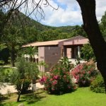 camere free beach club